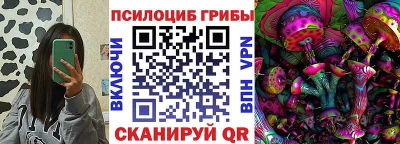 kraken как зайти  Озёрск  Псилоцибиновые грибы GOLDEN TEACHER 
