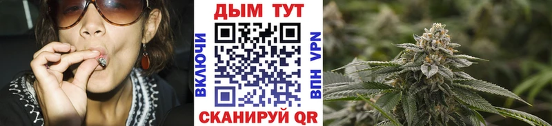 закладки  Озёрск  Марихуана сатива 
